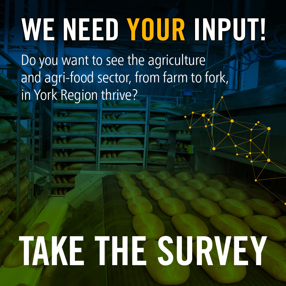 We need your input! Take the survey