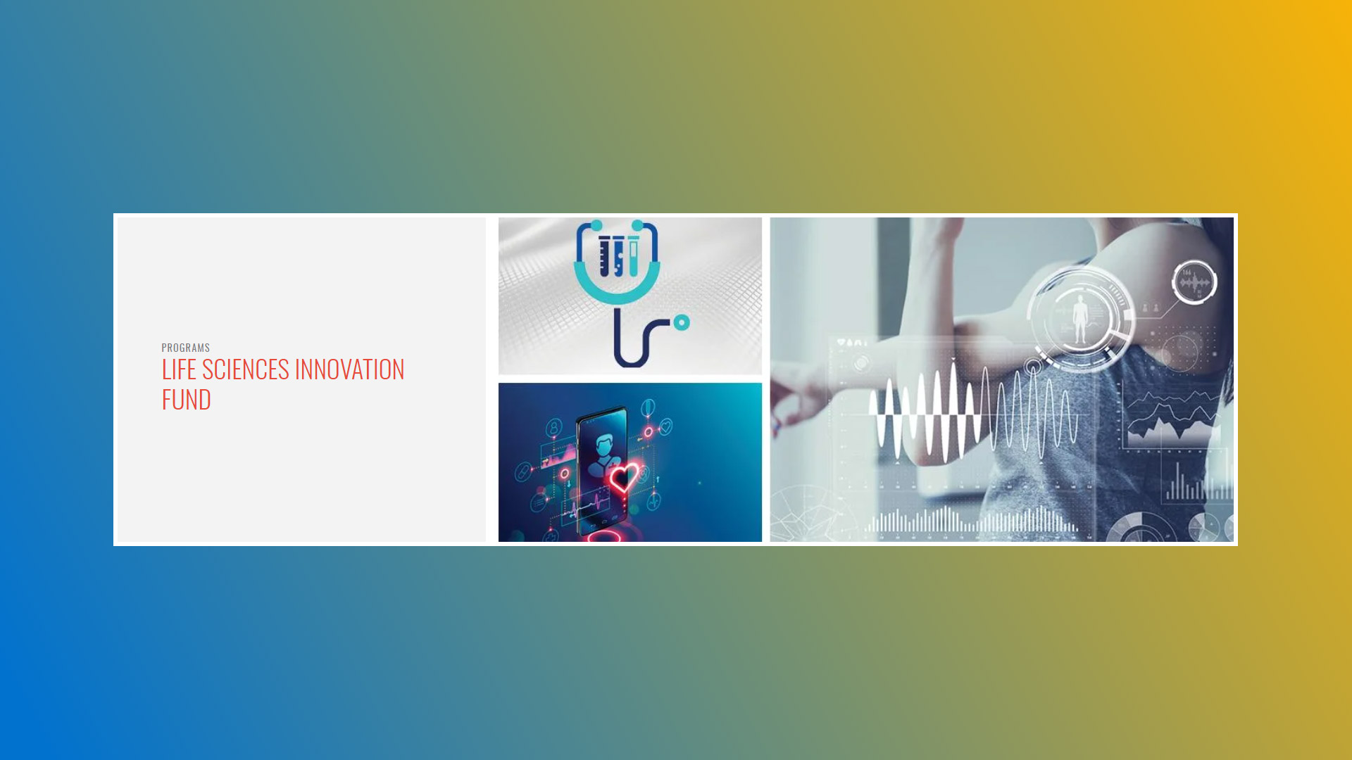 Life Sciences Innovation Fund Banner