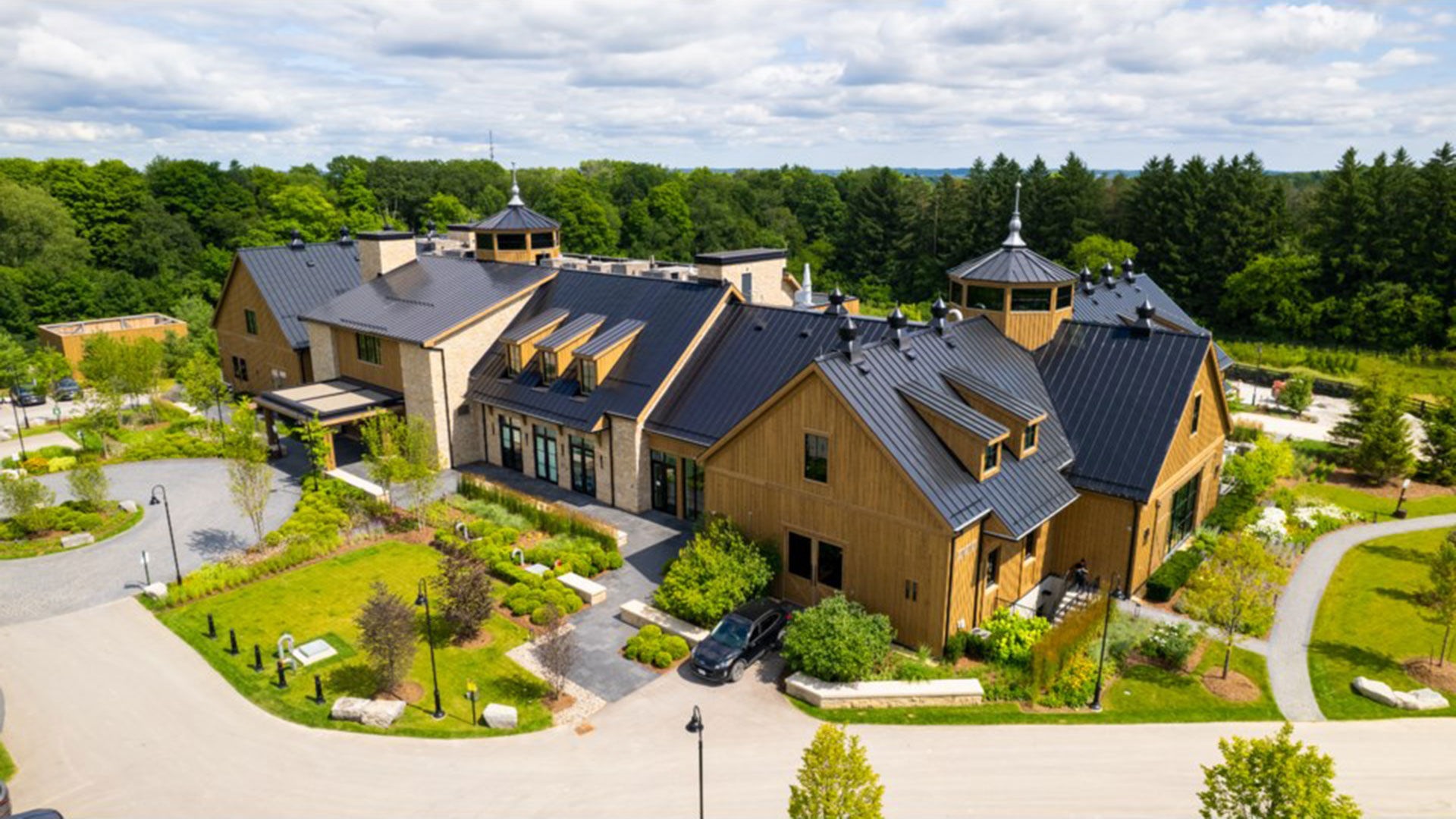 King Animal Hospital