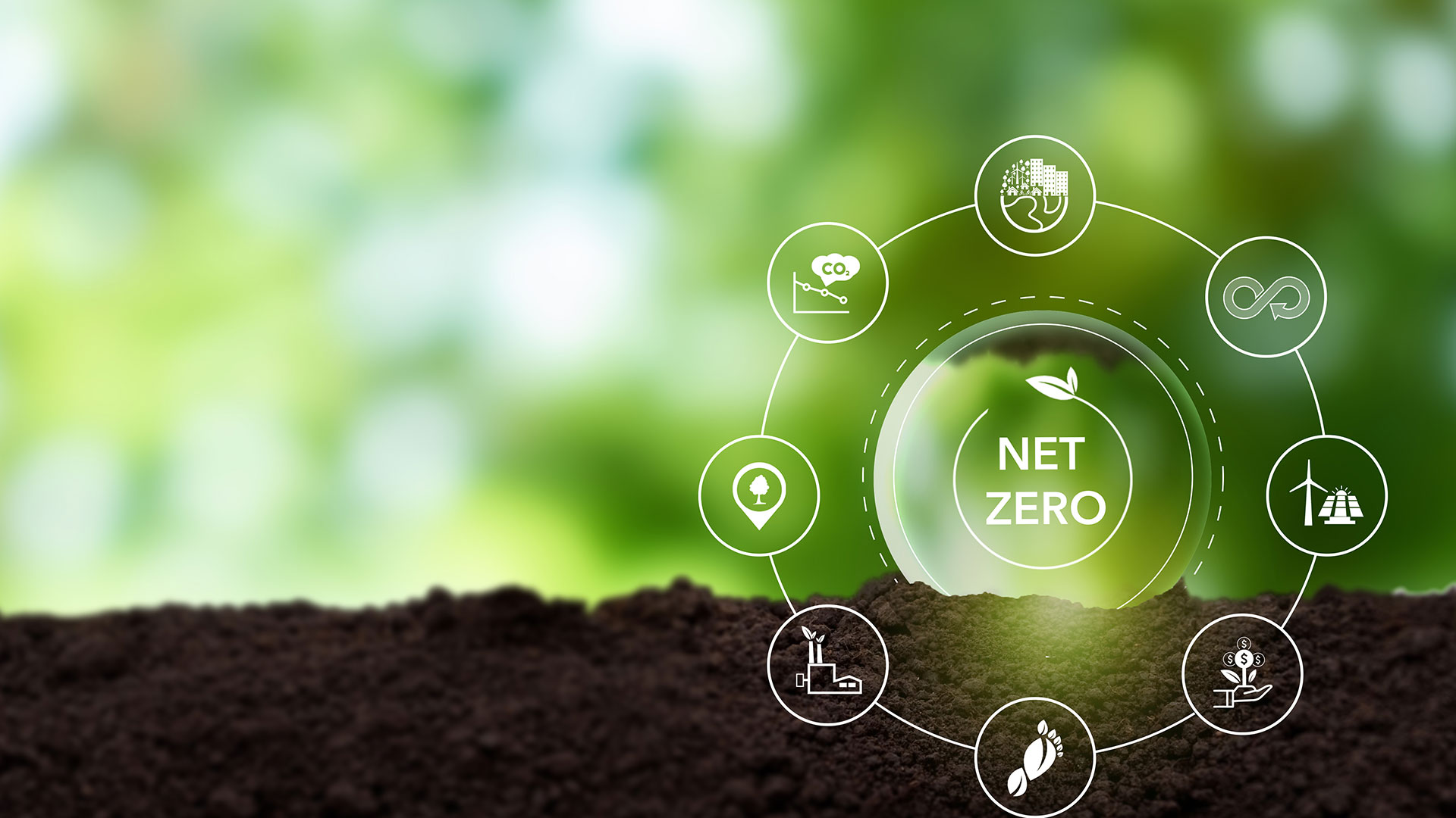 Net Zero